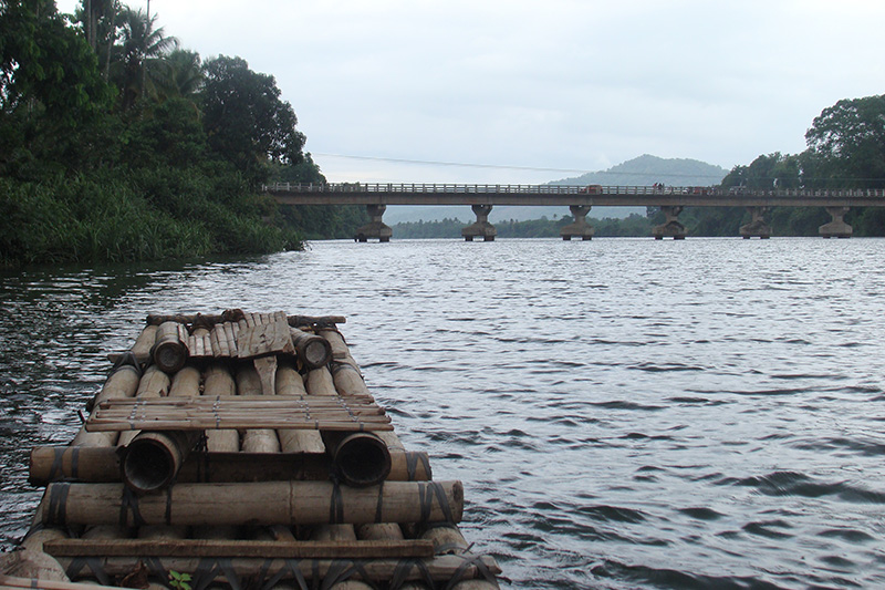 Birds Song Homstay, Thattekad